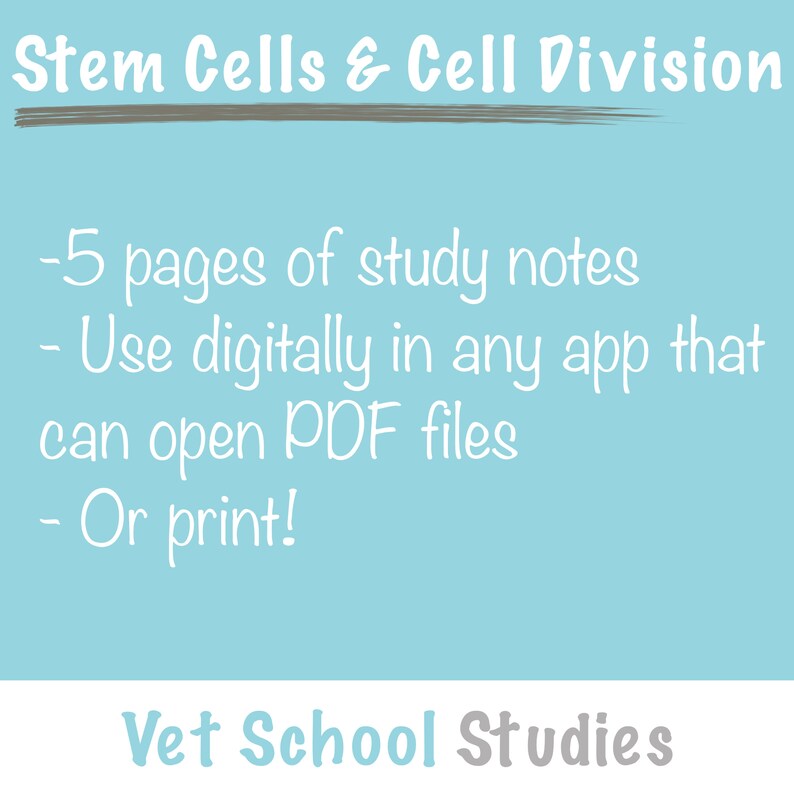 Mitosis and Meiosis Stem Cells Cell Division Study Notes | A Level High ...