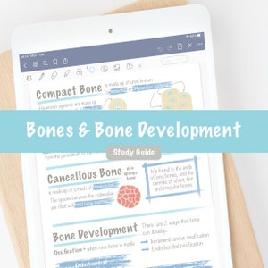 May include: A digital tablet displays a study guide titled "Bones & Bone Development." The guide includes diagrams and text explaining compact and cancellous bone, and bone development. The tablet is on a wooden surface.