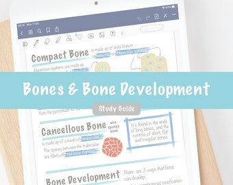 Ossa e sviluppo osseo Appunti di studio digitali/Notabilità GoodNotes/Revisione esame di studio/Infermieristica medica Medicina veterinaria Tecnologia veterinaria