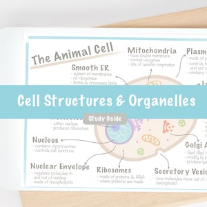 Cell Structures and Organelles Study Guide | Animal Plant Fungal Cell Posters | A Level High School Biology