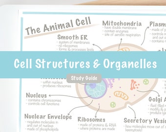 Guida allo studio delle strutture cellulari e degli organelli / Poster di cellule fungine di piante animali / Biologia delle scuole superiori di livello A