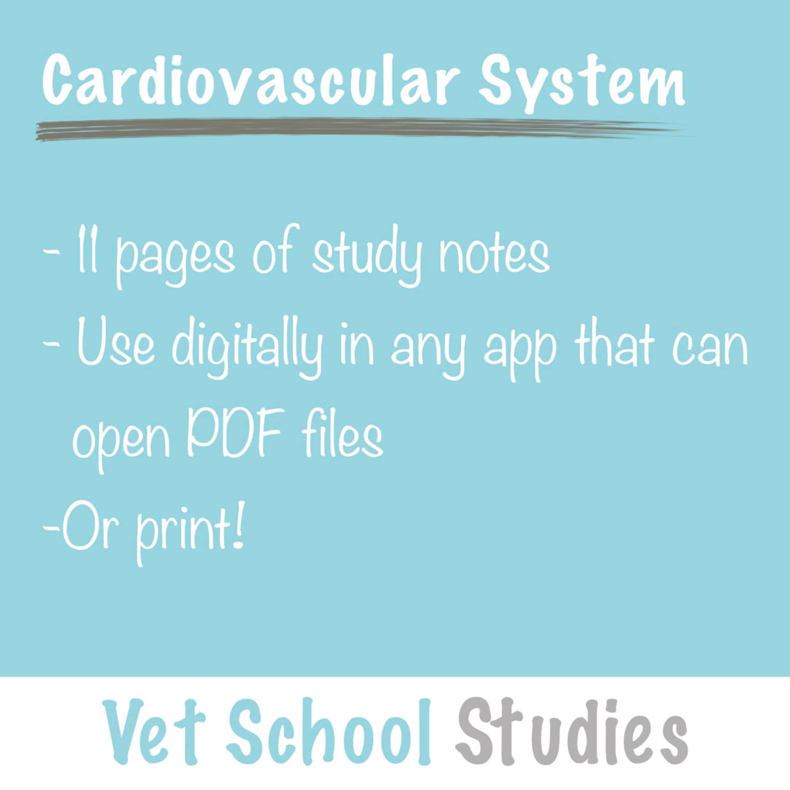 Cardiovascular System Digital Printable Study Notes Goodnotes ...