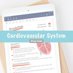May include: A diagram of the human cardiovascular system with a study guide explaining the pulmonary and systemic circulation. The diagram shows the heart with arrows indicating the flow of oxygenated and deoxygenated blood.