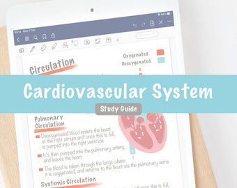 Note di studio stampabili digitali sul sistema cardiovascolare/Guida allo studio sulla biologia della notabilità di GoodNotes/Tecnologia veterinaria Pre-veterinario Medicina infermieristica