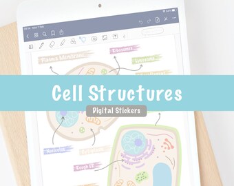 Strutture cellulari Organelli Adesivi digitali / ipad Goodnotes Notability png Download per Biology Note Taking Study / Pre-Vet Vet Tech
