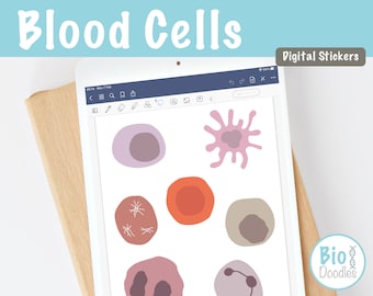 Tipi di cellule del sangue Adesivi digitali / Biologia cellulare Biologia umana Clip Art / png Download per prendere appunti e studiare
