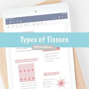 May include: Digital stickers featuring illustrations of different types of tissues, including stratified columnar, nervous, and epidermis. The stickers are labelled with their names and descriptions of their functions.