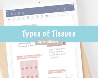Tipi di tessuti Adesivi digitali Diagrammi Intestazioni / ipad GoodNotes Notability png Download per prendere appunti e studiare biologia