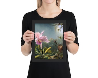Cattleya orchis and three bazilian humming birds Framed poster
