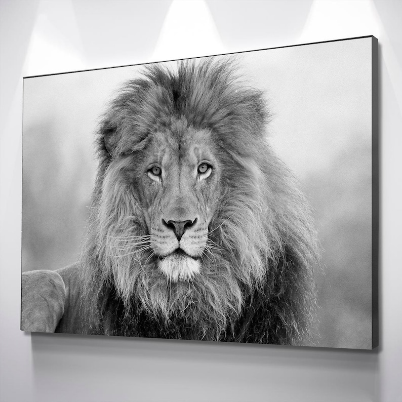 Lion Wall Art Lion Canvas Black and White Lion Canvas Wall Etsy