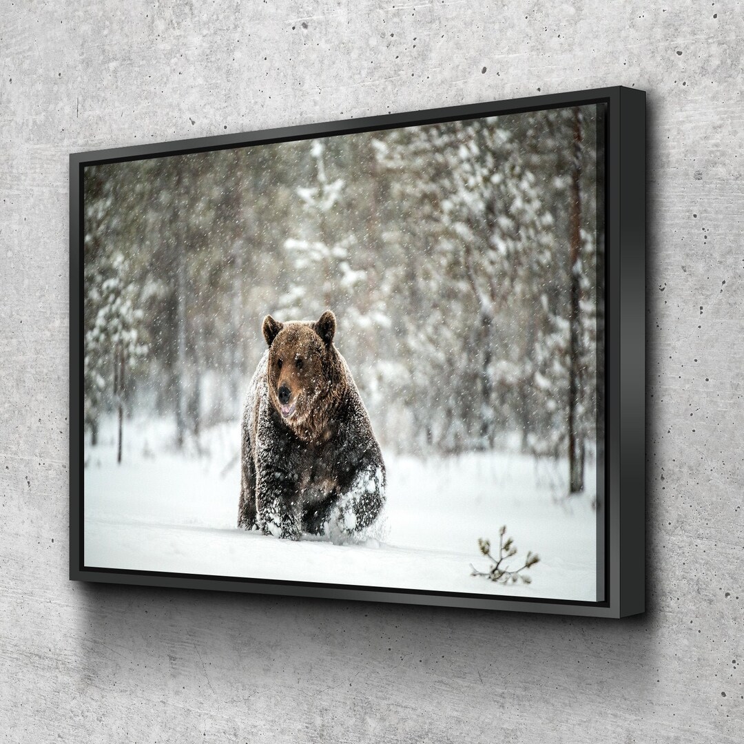 Brown Bear Canvas Wall Art Bear Canvas Wildlife Animal Prints in Snowy