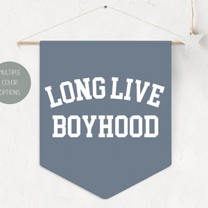 Long Live Boyhood Pennant Style Banner, Boys Room Decor Pennant Flag Wall Art Banner, Kids Room Decor, Nursery or Play Room Wall Decor