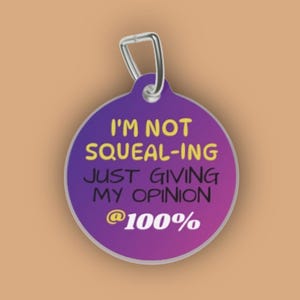 Custom QR Code Pet Tag: Double-Sided Metal, Silent Design