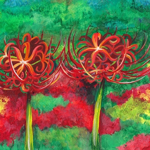 Spider Lilies