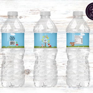Oh Baby Water Bottle Labels- Baby Shower Digital or Printed & Shipped