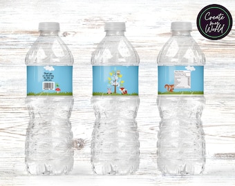Oh Baby Water Bottle Labels- Baby Shower Digital or Printed & Shipped