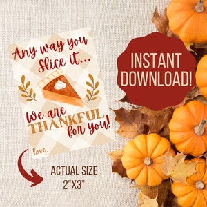 Thanksgiving Gift Tag / Thanksgiving Tag / Pie Gift Tag / Any way you slice it / Appreciation gift tag