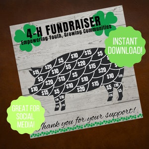4-H Fundraiser for Swine | 4-H Fundraiser Pigs | 4H Fundraising | Pigs Showing