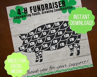 4-H Fundraiser for Swine | 4-H Fundraiser Pigs | 4H Fundraising | Pigs Showing