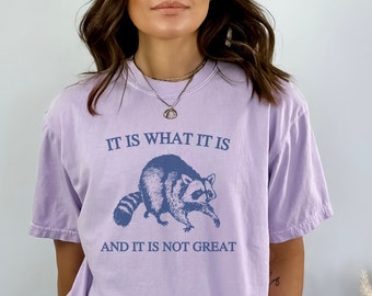 Raccoon Meme Shirt,It Is What It Is And It Is Not Great Shirt,Funny Mood Sweatshirt,Vintage Drawing Shirt,Trendy Shirt,Raccoon Shirt,Funny