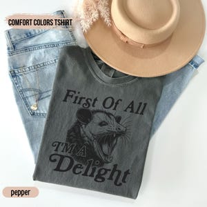 May include: A gray t-shirt with a black and white illustration of a possum with the text "First Of All I'm A Delight".