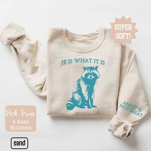 It Is What It Is And It Is Not Great Sweatshirt, Vintage Sweatshirt, Raccoon Sweatshirt, Mental Health Sweatshirt, Funny Sweatshirt Women