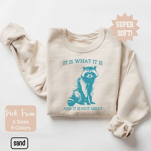 It Is What It Is And It Is Not Great Sweatshirt, Vintage Sweatshirt, Raccoon Sweatshirt, Mental Health Sweatshirt, Funny Sweatshirt Women
