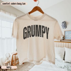 Grumpy Shirt, Boxy Tee Comfort Colors, Funny Relatable Graphic Tee, Oversized Aesthetic Shirt, Trendy Minimalist Shirt, Gift for Her, Meme T