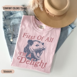 May include: A pink t-shirt with a graphic of an opossum with the text "First of All I'm a Delight" printed on it. The shirt is laid out on a pair of blue jeans and a brown hat.