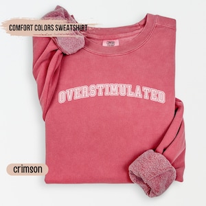 Comfort Colors® Overstimulated Sweatshirt, Cowboy Frog Shirt, Unhinged TShirt, Weirdcore Clothing, Gen Z Shirt, Weird Stuff Funny TShirt