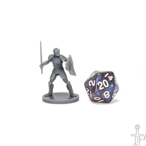 City Guard Knight DnD Miniature, 3D Printed Guard Miniature, DnD NPC Miniature, DnD Royal Guard, Security Guard