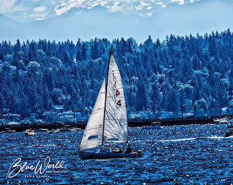 Sailing Boat : Art on Metal Print