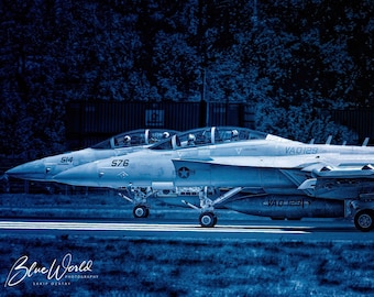 Vikings Squadron : Art on Metal Print