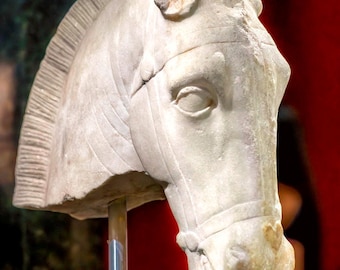 Ancient Horse Statue : Art on Metal Print