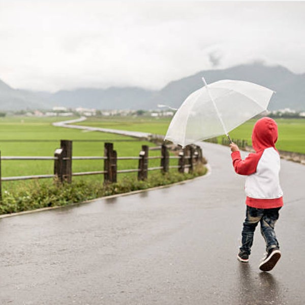 80cm Kids Children Clear See Through Umbrella Lady Full Transparent Walking Rain Water-proof Birdcage Full-cover Wedding