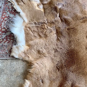 Northeast Ohio Whitetail Deerskin - Real Deer Fur - Area Home Rug & Decoration  - Skin Hide Pelt - Natural Leather - Professionally Tanned