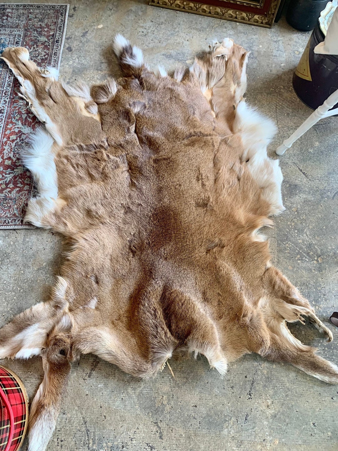 Northeast Ohio Whitetail Deerskin - Real Deer Fur - Area Home Rug