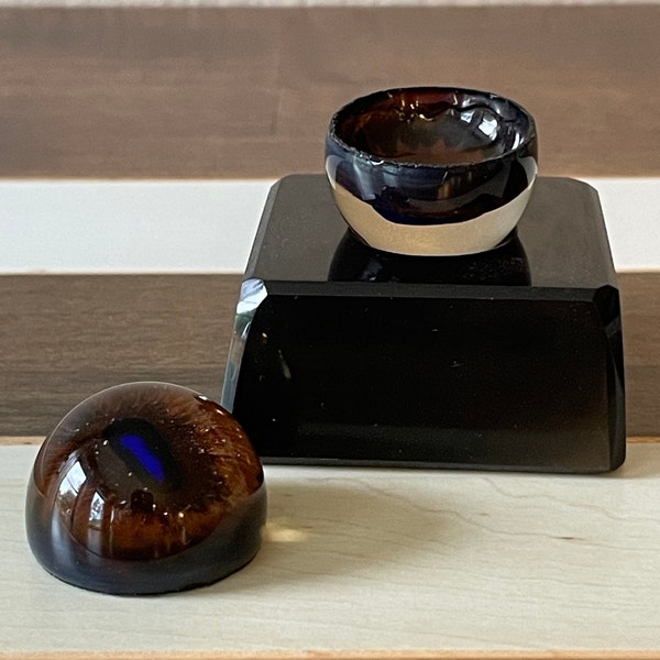 Taxidermy Glass Eyes. An Authentic and Vintage Pair of Dark Brown with Blue Iris for Goat or Deer Taxidermy!