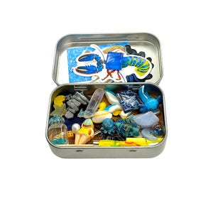 Op de afbeelding: Een rechthoekig metalen blik gevuld met een verzameling kleine voorwerpen, waaronder een kreeftsticker, een heldere kristallen punt, een miniatuur glazen flesje, een klein figuurtje in een geel badpak, een blauw harsblok en diverse kleurrijke bedels.