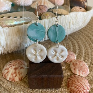 Sand dollar beach