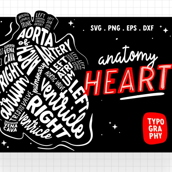 Heart Anatomy Typography SVG