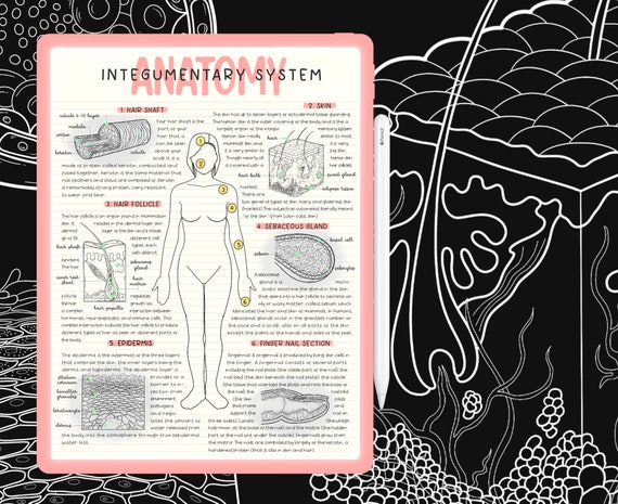Nature Anatomy Sticker Book - Mini Mad Things