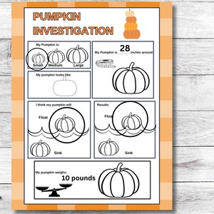 Pumpkin Investigation| Fall Stem| Pumpkin Science - Etsy