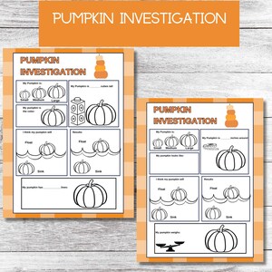 Pumpkin Investigation| Fall Stem| Pumpkin Science