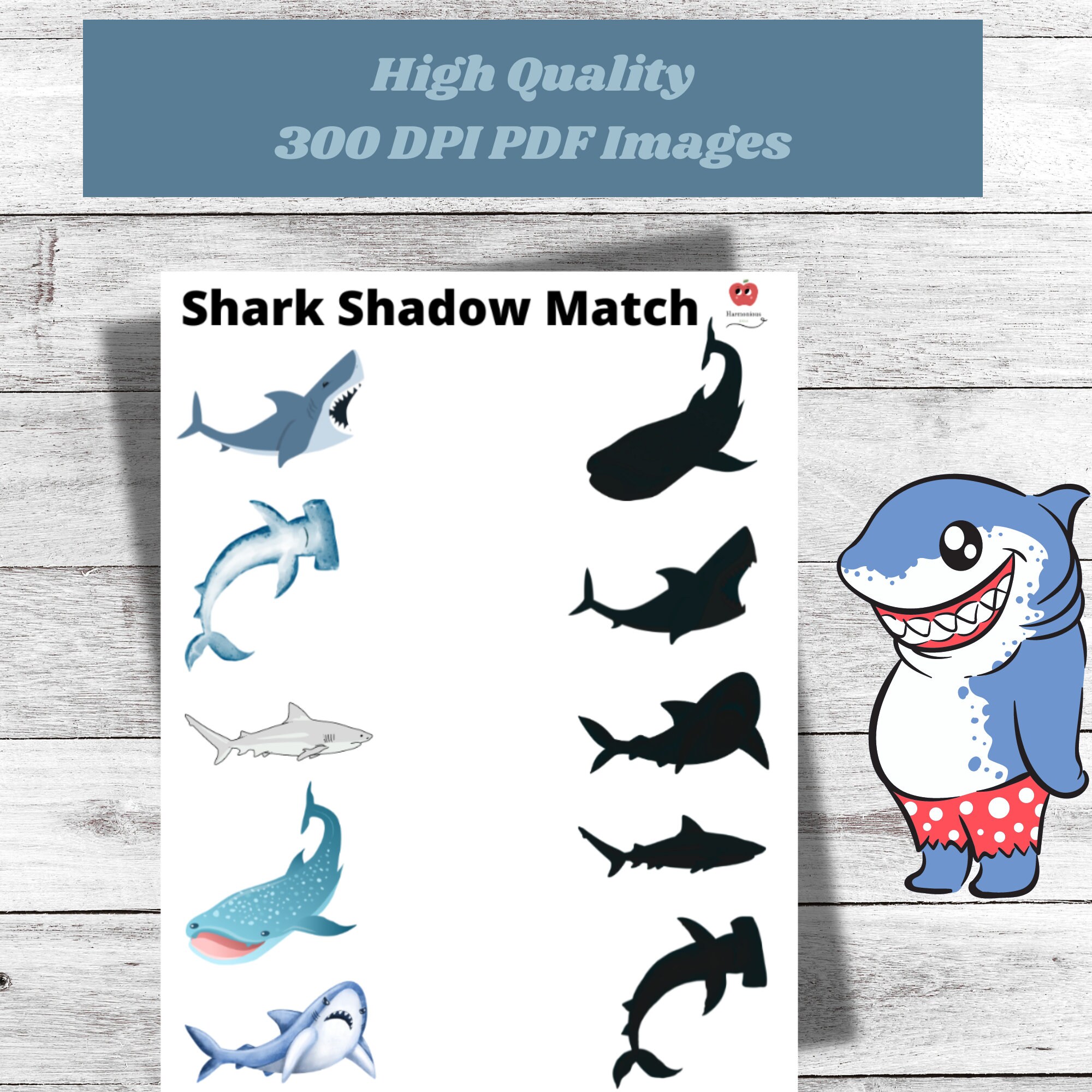 Shark Activity Pack Shark Week Worksheets Instant Download - Etsy