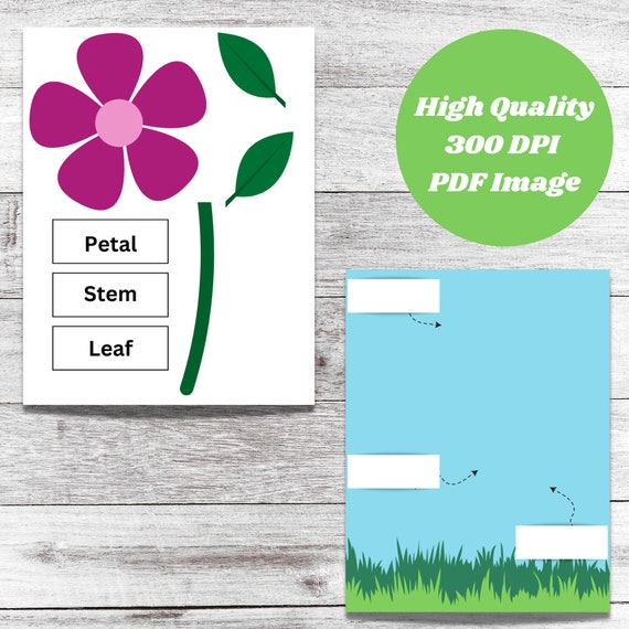 Parts of a Flower Craft| Flower Printable Activity| How Plants