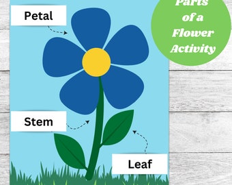 Parts of a Flower Craft| Flower Printable Activity| How Plants Grow| Instant Download
