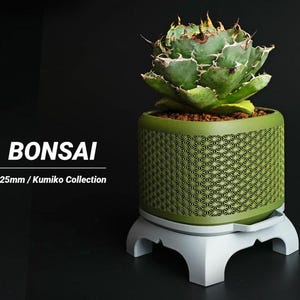 Può includere: Un bonsai verde in un vaso a motivi, appoggiato su un supporto bianco. Il vaso ha un diametro di circa 12,5 cm. L'immagine include il testo "BONSAI" e "125mm / Kumiko Collection".