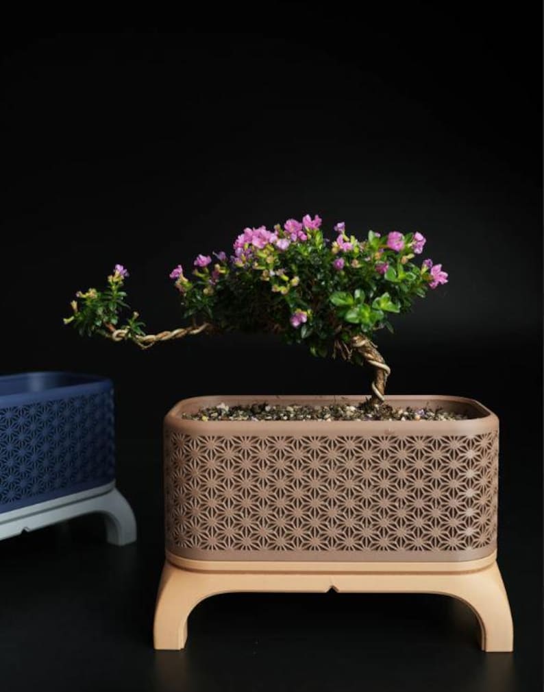 May include: A bonsai tree with small pink flowers and green leaves sits in a brown rectangular planter with a geometric pattern. The planter is on a light brown stand. Another blue planter is visible in the background.