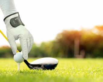 DKZ golfhandschoen 100% leer Aniline koe All-weather linkerhand Ideaal als cadeau